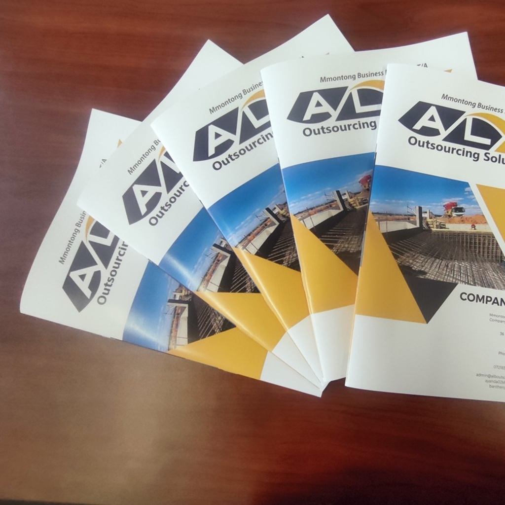                COMPANY 
               PROFILES